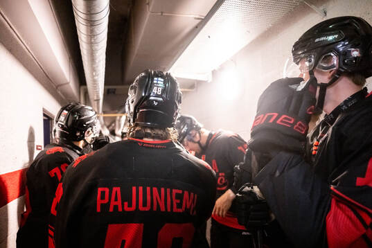 Malmö Redhawks Lauri Pajuniemi