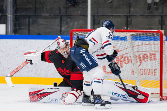 Malmö Redhawks målvakt Marek Langhamer och Linköpings