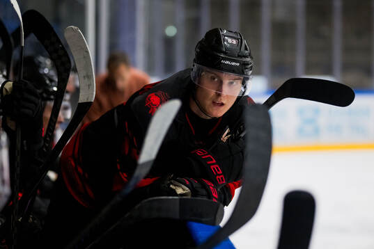 Malmö Redhawks Fredrik Händemark deppar