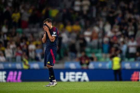 Bläddra bland fler bilder av Football, FIFA World Cup Qualifier, Slovenia - Sweden