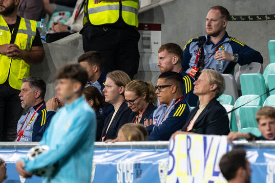 Dejan Kulusevski of Sweden in the stands