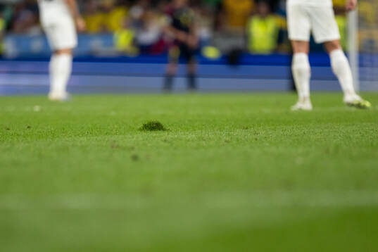 The pitch of Stozice Stadium