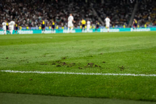 The pitch of Stozice Stadium