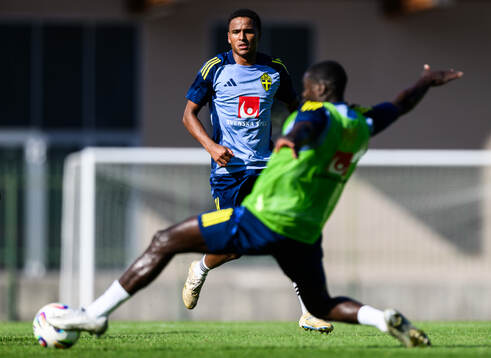 Niclas Eliasson of the Swedish men's football national team
