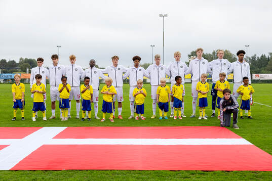 Players of Denmark