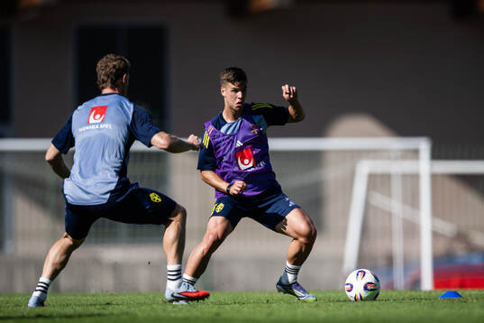 Samuel Dahl of the Swedish men's football national team at
