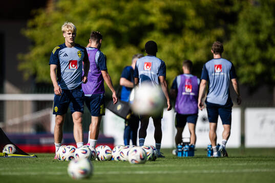 Lucas Bergvall of the Swedish men's football national team