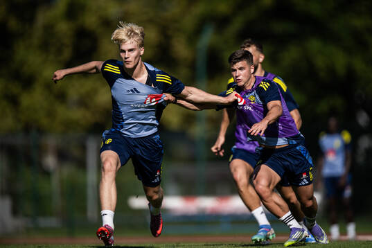 Lucas Bergvall and Samuel Dahl of the Swedish men's