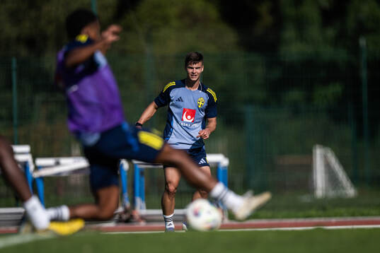 Samuel Dahl of the Swedish men's football national team at
