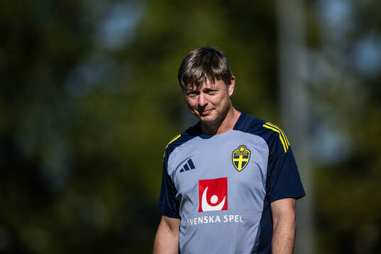 head coach Jon Dahl Tomasson of the Swedish men's football