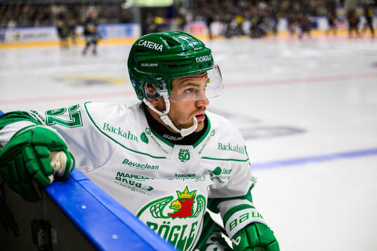 Rögles Leon Bristedt
