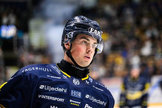 HV71s Hugo Fransson jublar