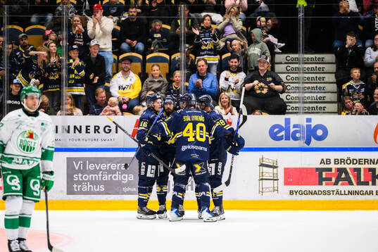HV71s jublar