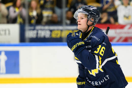 HV71s Martin Johnsen jublar