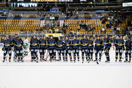 HV71s spelare jublar