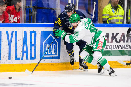 HV71s Nikola Pasic och Rögles Mark Friedman