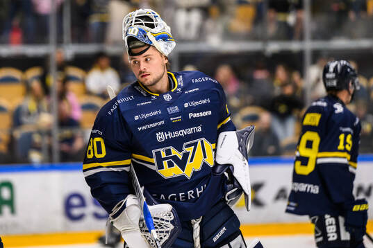 HV71s målvakt Frederik Dichow