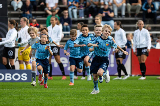 Djurgårdens maskot