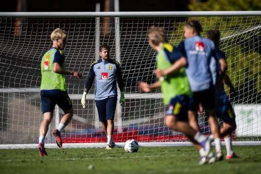 goalkeeper Kristoffer Nordfeldt of the Swedish men's