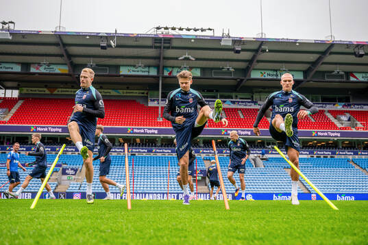 Andreas Hanche-Olsen, David Møller Wolfe and Leo