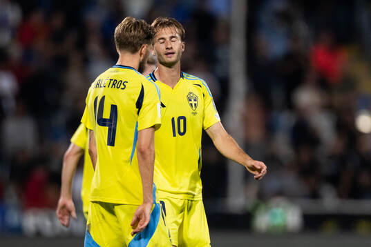 Anton Salétros and Benjamin Nygren of Sweden look dejected