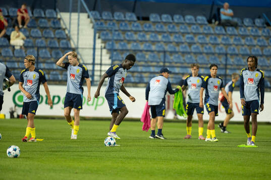 Players of Sweden