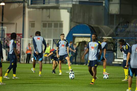 Players of Sweden