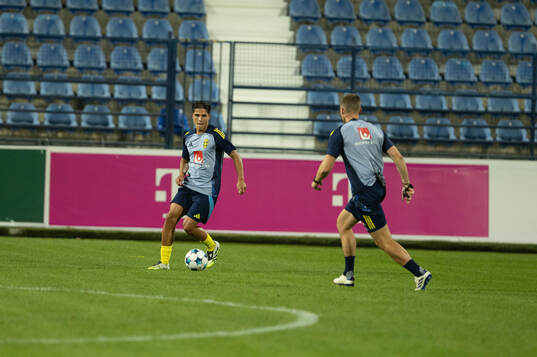Players of Sweden