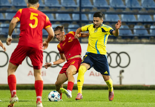 Roony Bardghji of Sweden