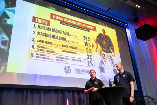 Brynäs Nicklas Bäckström och Djurgårdens Magnus Hellberg