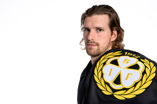 Brynäs Axel Jonsson Fjällby