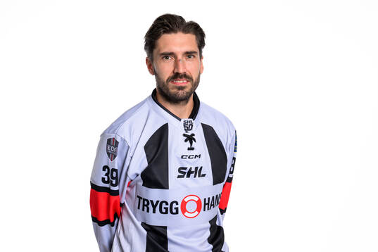 Huvuddomare Mattias Enroth