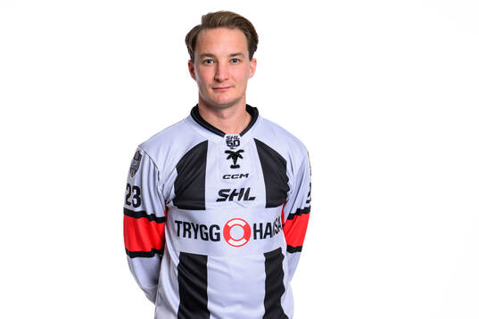 Huvuddomare Alexander Österberg