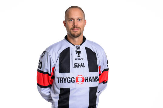 Huvuddomare Andreas Harnebring