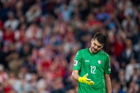 Goalkeeper Cristian Avram of Moldova looks dejected