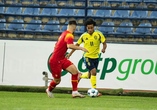 Momodou Sonko of Sweden