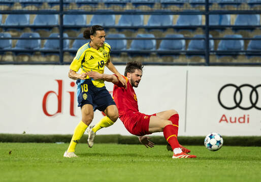 Amin Boudri of Sweden