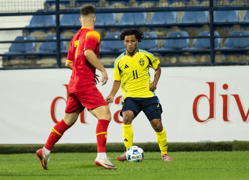 Momodou Sonko of Sweden