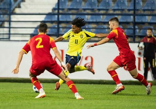 Momodou Sonko of Sweden