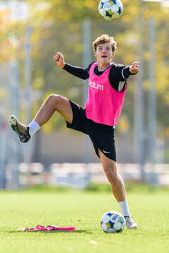 Max Nilsson