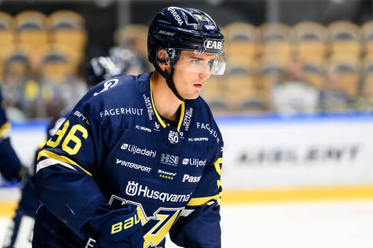 HV71s Nikola Pasic