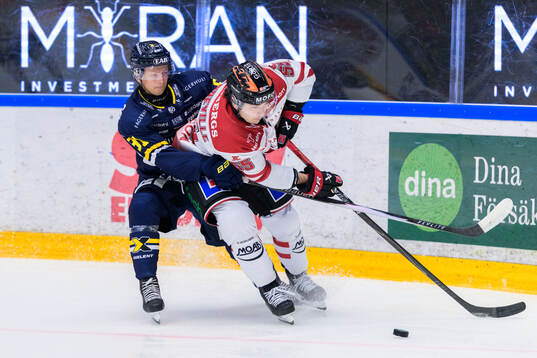 HV71s Aleksi Heponiemi och Örebros David Quenneville
