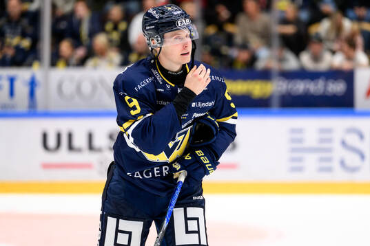 HV71s Hugo Pettersson