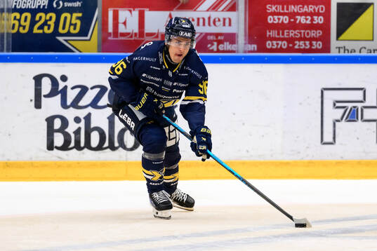 HV71s Nikola Pasic