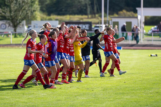 Vittsjös spelare jublar