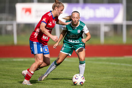Alingsås Saga Fredgren