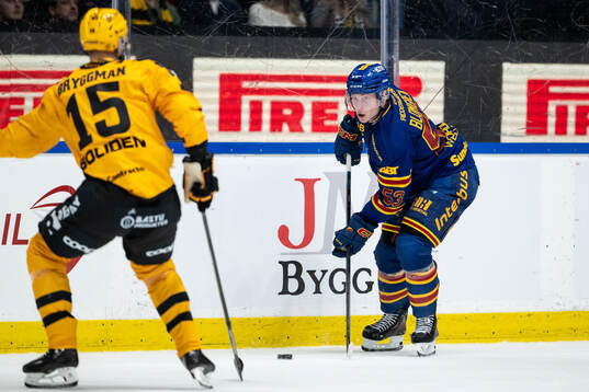 Djurgårdens David Blomgren