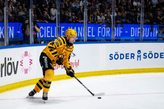 Skellefteås Oliver Okuliar