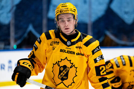 Skellefteås Pontus Johansson
