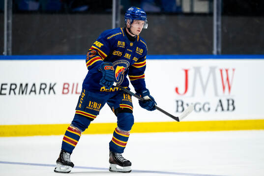 Djurgårdens David Blomgren